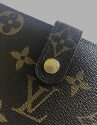Cartera Louis Vuitton Mujer Marrón