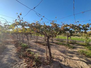 Terreno en venta en La Algoda - Matola - El Pla en Elche