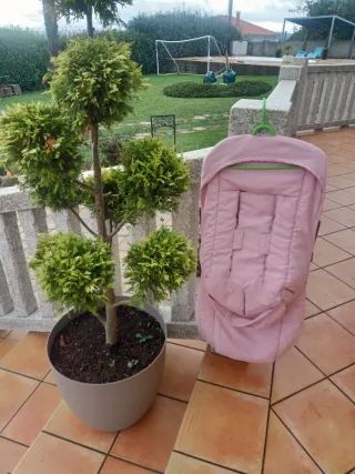 Saco Bugaboo 
