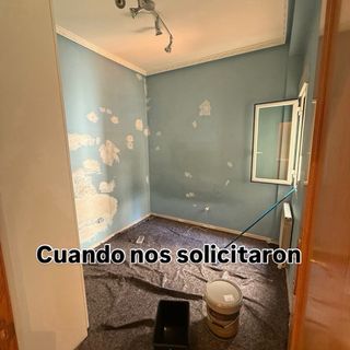 pintor profesional
