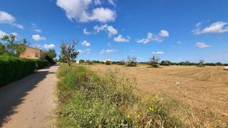 Solar en venta en Campos