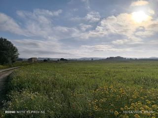 Solar en venta en Algaida