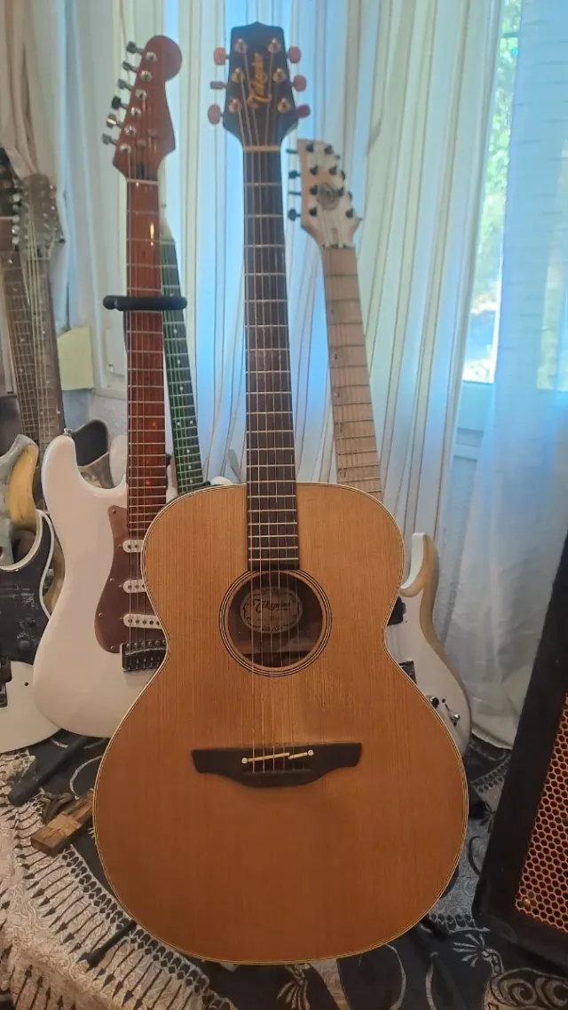 Vendo Takamine EN-40