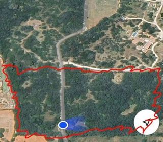 Terreno en venta en Algaida