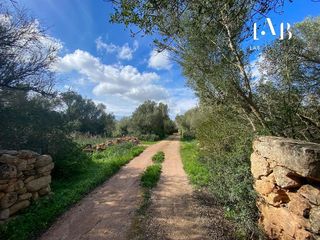 Terreno en venta en Algaida