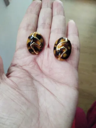 PENDIENTES CLIP 