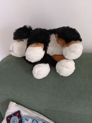 Peluche Cagnolino Bovaro Bernese