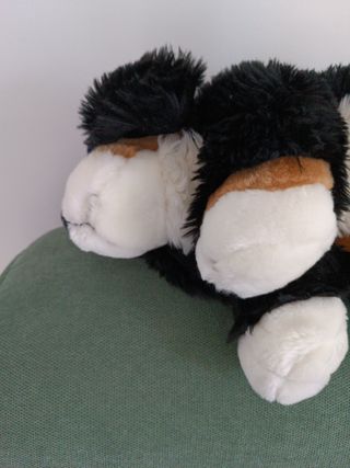 Peluche Cagnolino Bovaro Bernese