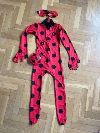 Disfraz Ladybug