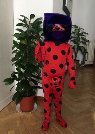 Disfraz Ladybug