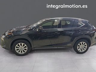 Lexus NX 2.5 300h Business 2WD