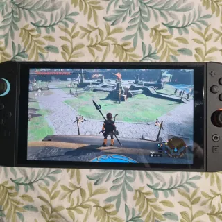 Zelda Tears of the Kingdom