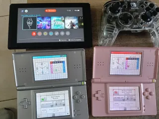 Pacchetto Nintendo Switch e 2 DS Lite