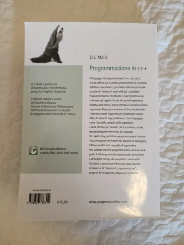 Programmazione in C++ libro università scuola