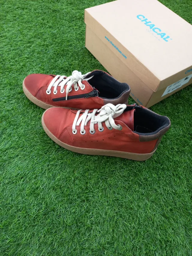 Botines Chacal Talla 39