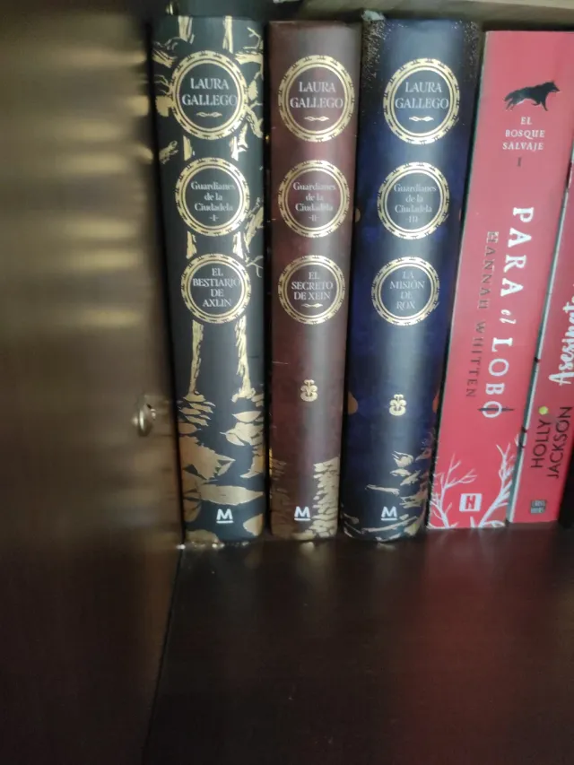 El bestiario de Axlin (Guardianes de la Ciudade...