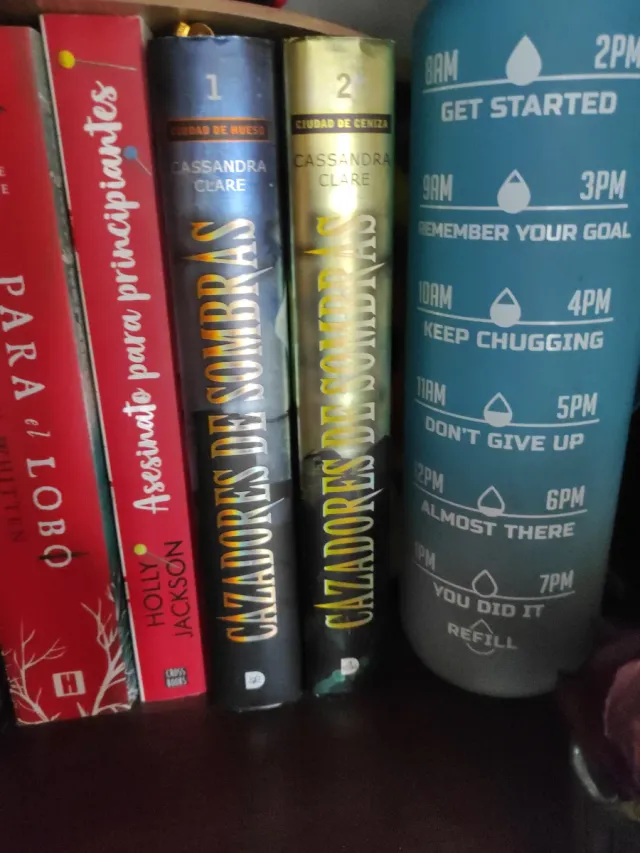 Ciudad de hueso. Cazadores de sombras 1: Cazado...