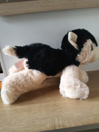 Cagnolino peluche husky