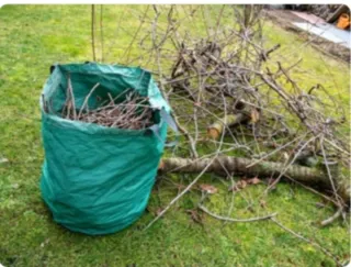 Servicio de limpieza y retirada de poda.