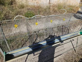 Jaulas para pollos