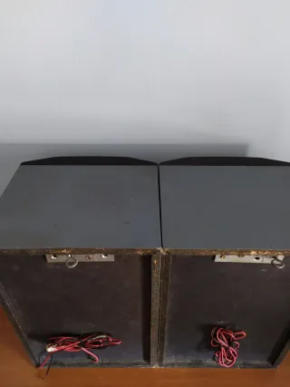 2 Altavoces Philips