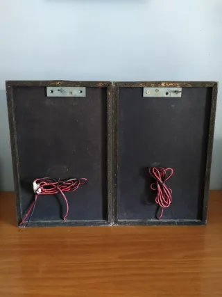 2 Altavoces Philips