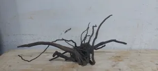Raíz de madera natural para acuario