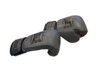 GUANTES DE BOXEO CHARLIE THE INSANE 14 OZ
