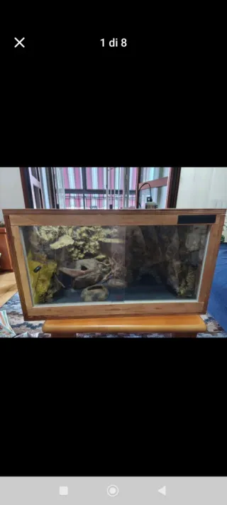 Terrario per geco leopardino