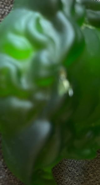 Medusa Versace Cristal Verde