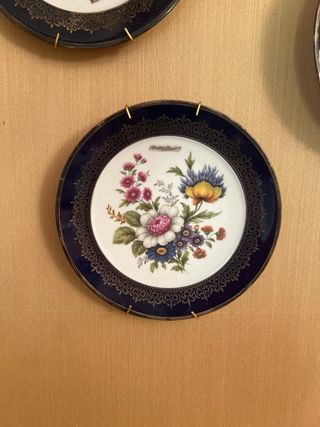 6 piatti decorativi floreali antichi