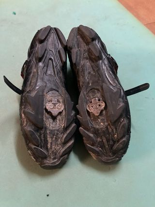 Zapatillas Ciclismo Shimano M088