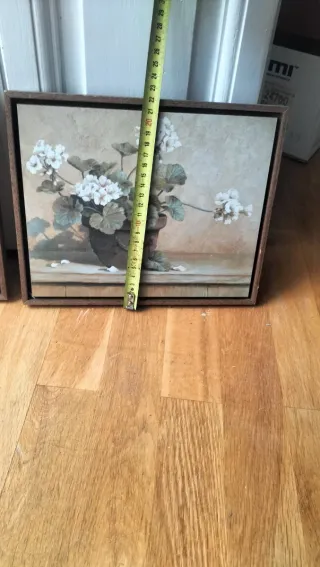 Juego de 2 cuadros de flores