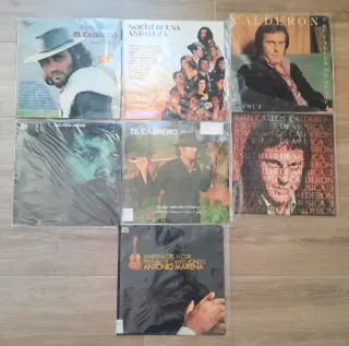 Lote 7 Vinilos Flamenco y Cantautor