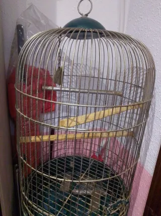 Jaula para loro grande con ruedas