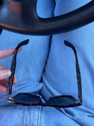 Gafas de Sol Ray-Ban Negras y Marrones