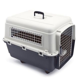 Transportín Avión Perros Grandes Gris/Blanco