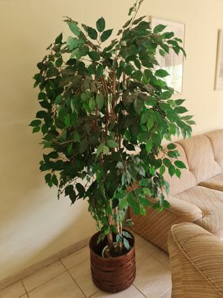 Árbol artificial decorativo