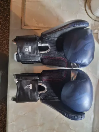 Guantes Kick Boxing Muay Thai Adv