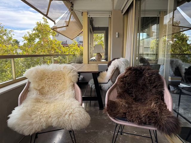 Pieles de oveja irlandesa para silla/suelo