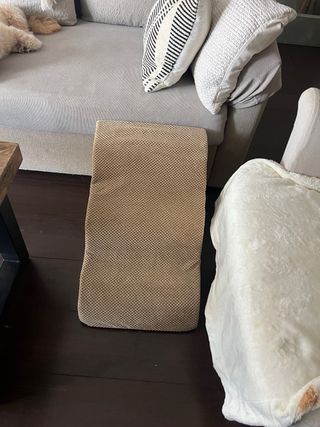 Rampa para perros beige