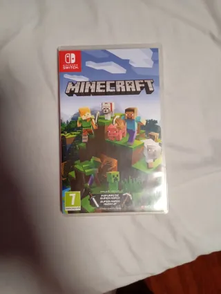 Minecraft Nintendo Switch
