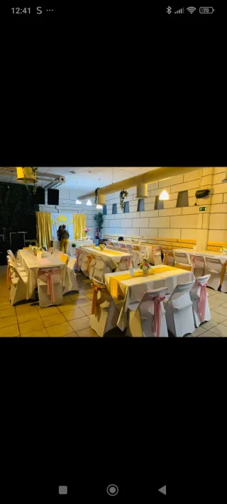 Fundas para sillas de fiesta