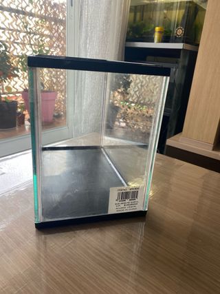 Acuario/Terrario de Cristal.
