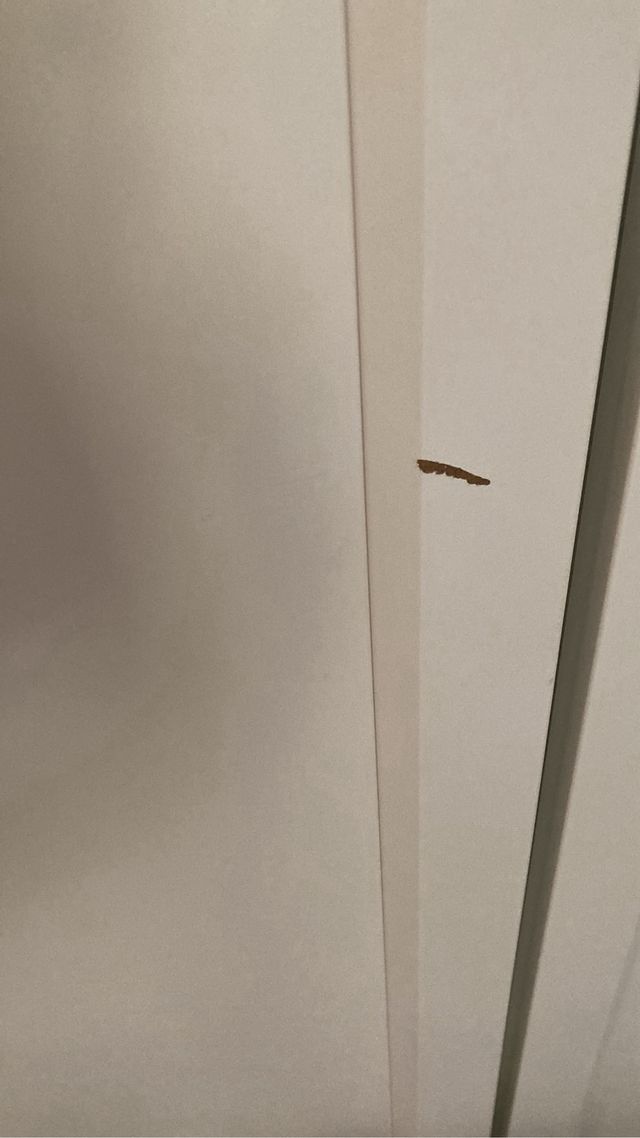 Puertas Oxberg de cristal para estantería Billy