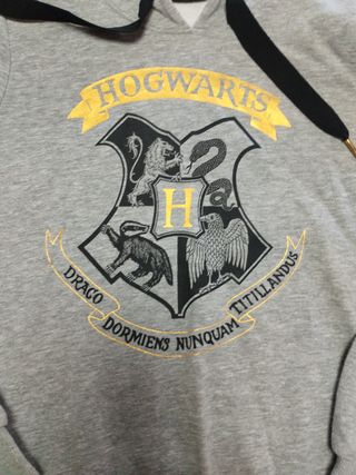 Sudadera Hogwarts Harry Potter Gris