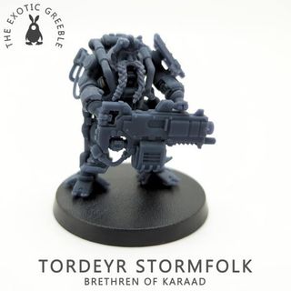 Brokyr Thunderkyn / Enanos Exotraje