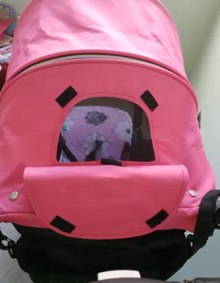 Silla de Paseo Valco Baby SNAP4 Rosa