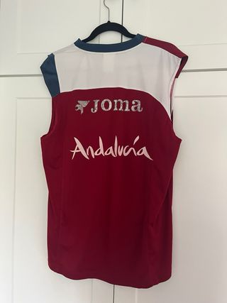 Camiseta entrenamiento Sevilla FC temporada 08/09