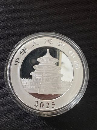Moneda Plata Panda China 30g Ag.999 10 Yuan